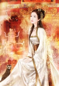 總裁在上我在下